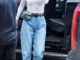 Kendall Jenner Boyfriend Jeans